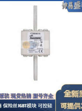 美国BUSSMANN熔断器170M4806 170M4807 170M4808 170M4809全新