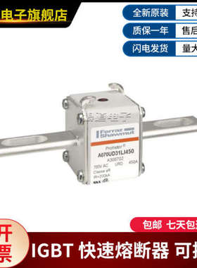 A070UD31LI450-A300702 A070UD31LI500-B300703罗兰快速熔断器