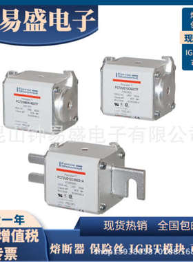 全新罗兰熔断器 PC72GB69V550EF T301340/PC72GB69V550TF L301333