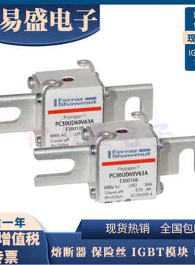全新罗兰熔断器PC30UD60V630TF L301770/PC30UD69V50D1A G301191