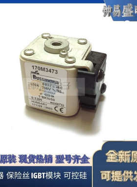 美国BUSSMANN熔断器170M3310  170M3311  170M3312  170M3313