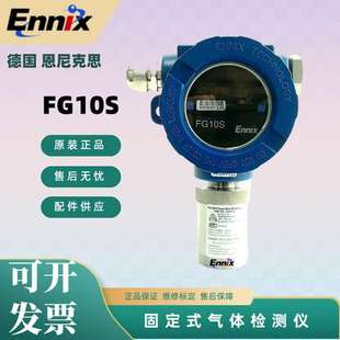 恩尼克思固定式 FG10S探测器可燃氧气一氧化碳硫化氢气体探测器