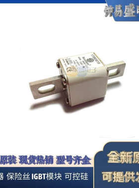 美国BUSSMANN熔断器170M3142  170M3143  170M3144  170M3145