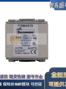 美国BUSSMANN熔断器170M5658  170M5659  170M5660 巴斯曼熔断器
