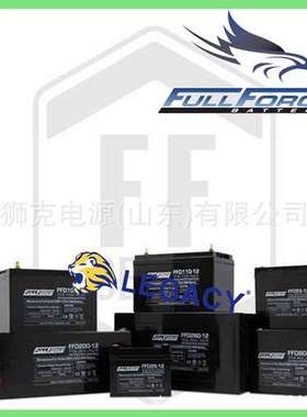 美国FULLFORCE蓄电池HC51/L1/H4、HC55/51、HC60/N/A铅酸电瓶