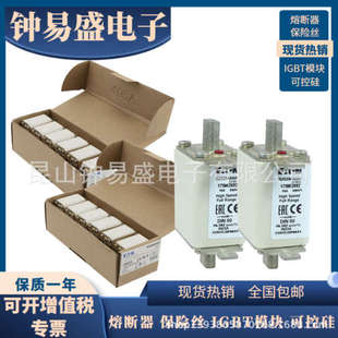 170M2621 原装 170M2620 170M2619 现货全新熔断器 巴斯曼熔断器