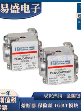 全新罗兰熔断器 PC30UD69V80D1A R300119/PC30UD69V80TF S300051