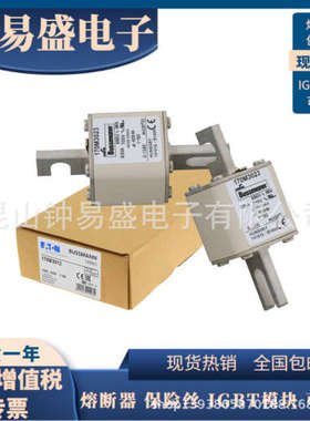Bussmann巴斯曼 熔断器  170M3170 170M3171 170M3172 170M3173