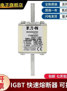供应全新现货170M3062 170M3063 170M3064 170M3065巴斯曼熔断器