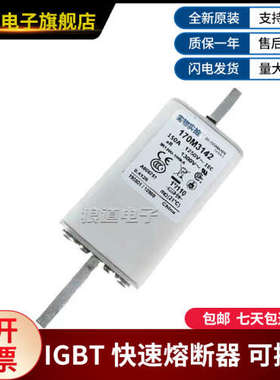 巴斯曼熔断器170M3141 3142 3143 3144 3145 3146 3147 3148