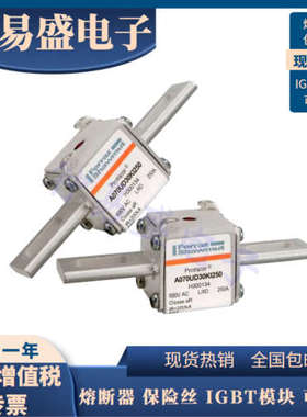 全新罗兰熔断器  A070UD30KI630 B300128 全新原装