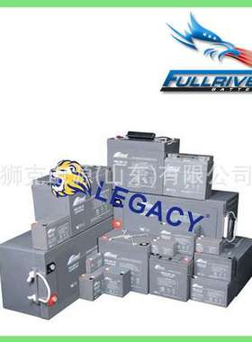 美国FULLFORCE蓄电池2RG330、4SG100N、6SG200、2SG250铅酸电瓶