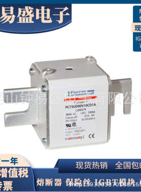 全新罗兰熔断器 C73UD90V11CEF G300639  PC73UD90V13CTF T300696