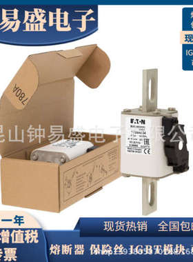 Bussmann熔断器170M5536 170M5537 170M5538 170M5539 170M5540