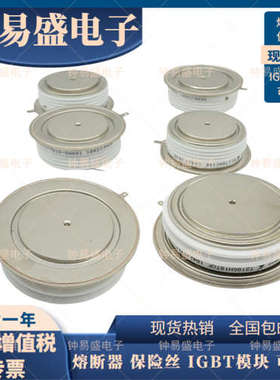 T130N12TOF T130N14TOF T130N16TOF 德国平板晶闸管可控硅模块