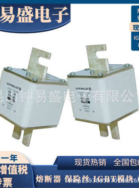 全新R5284313 R5284350 R5284613 R5284650 R5284950金米勒熔断器