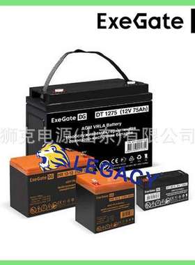 EXEGATE蓄电池DT1240、DT1265、DT 1275、DT12100、DT12120电瓶