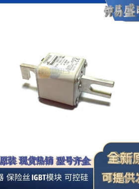 美国BUSSMANN熔断器170M3016  170M3017  170M3018  170M3019