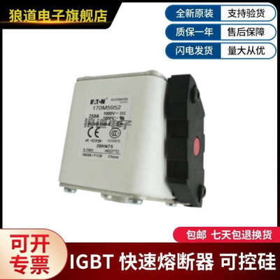 原装正品现货170M5952 170M5953 170M5954 170M5955巴斯曼熔断器