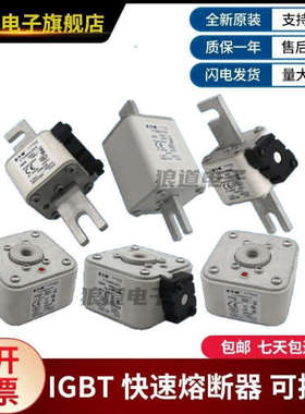 供应全新现货170M5881 170M5882 170M5883 170M5884巴斯曼熔断器