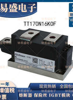 TT170N16KOF 可控硅模块 TT170N18KOF  全新IGBT二极管模块