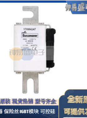 美国BUSSMANN熔断器 170M4008  170M4009  170M4010 巴斯曼熔断器