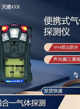 梅思安MSA Altair天鹰4XR检测仪 10118161气体检测仪