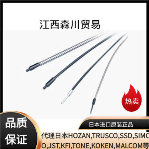 日本林时计HAYASHI光纤光导RLGB1-5L1000/5L1500/HAD-TW3A