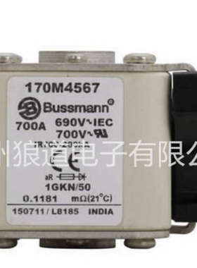 170M4565 170M4566 170M4567 170M4568 170M4569巴斯曼低压熔断器
