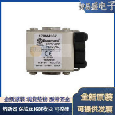 美国BUSSMANN熔断器170M5262  170M5263 170M5264  170M5265全新