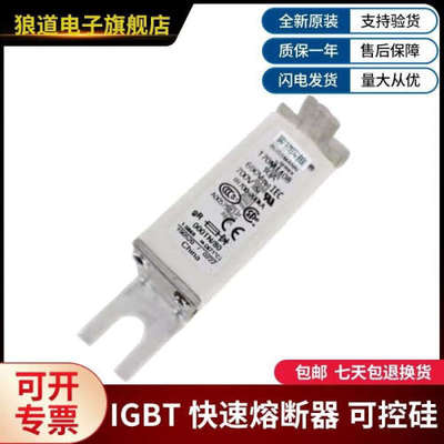 供应全新现货170M1408 170M1409 170M1410 170M1411巴斯曼熔断器