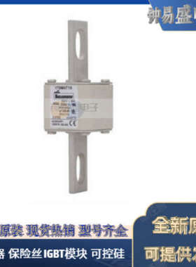 美国BUSSMANN熔断器170M5238  170M5239  170M5240  170M5241全新