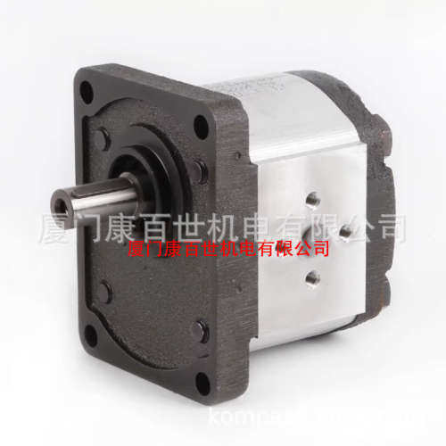 RONZIO齿轮泵02ZAG14C033D/02ZAG20C035D/02ZAG1420C035D油泵议价