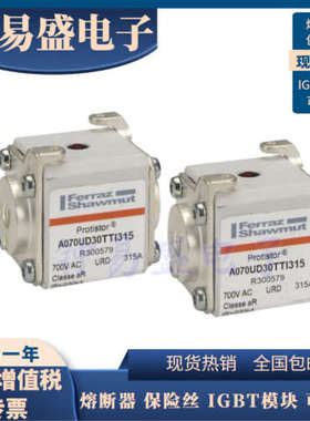 全新罗兰熔断器  A070UD30TTI450 V300582/A070UD30TTI500 W30058