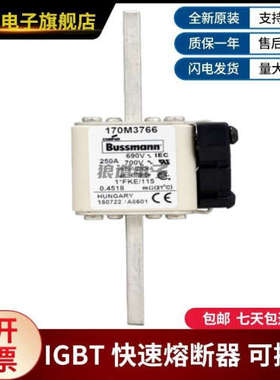 供应原装正品170M3766 170M3767 170M3768 170M3769巴斯曼熔断器