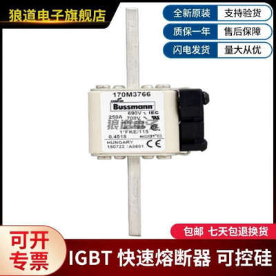 供应原装正品170M3766 170M3767 170M3768 170M3769巴斯曼熔断器