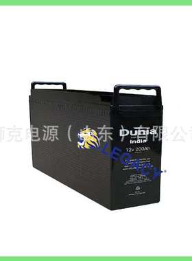 印度Dunia蓄电池MICROTEX电池 12V 125Ah前置端子狭长型电信电瓶