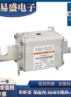 罗兰熔断器  PC71UD11C500TF F300523/ PC71UD11C550EF G300616