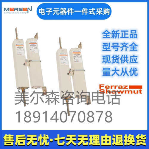 美尔森熔断器  D300GC20C25QF  S086933   D300GC20C32QF T086934