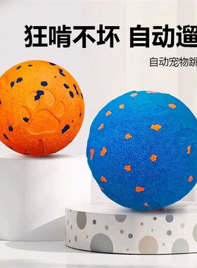 引力跳跳球狗狗玩具耐咬球自动逗狗神器自嗨解闷宠物电动小狗玩具
