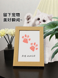 猫咪足迹宠物爪子纪念手印狗狗脚印掌印印泥猫爪留念相框摆台定制