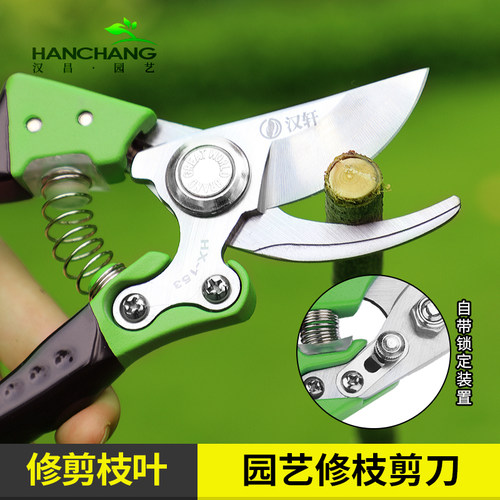 汉轩多功能修枝剪修花艺剪工具