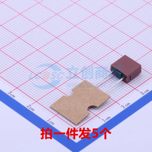 一次性保险丝2010T5AV