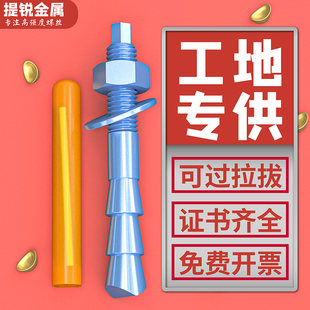 特殊倒锥形化学螺栓高强度胶粘型M10M12M16M18M20M24国标定型锚栓