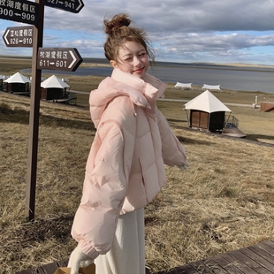 现货2025新款 主推白鸭绒羽绒服女6626P225K338