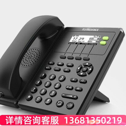 FLYINGVOICE飞音时代无线IP话机FIP10FIP10P局域网WiFi IP话机POE