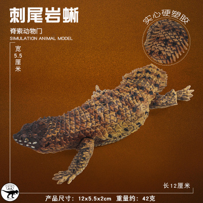 林畅模玩刺尾岩蜥模型仿真动物