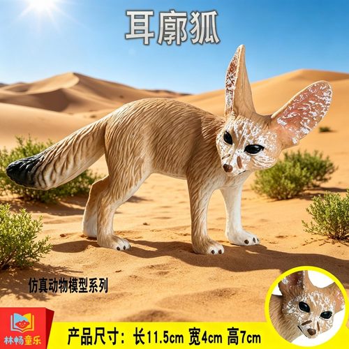 儿童动物玩具耳廓狐模型大耳狐沙漠小狐实心仿真狐狸男孩科教认知