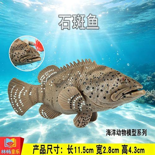 林畅童乐儿童海洋动物玩具石斑鱼模型实心仿真鱼类摆件科普认知