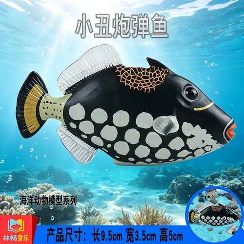 林畅童乐儿童海洋动物玩具小丑炮弹鱼模型仿真海底鱼类摆件认知